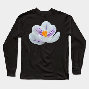 white crocus, crocuses, spring flowers, bloom Long Sleeve T-Shirt